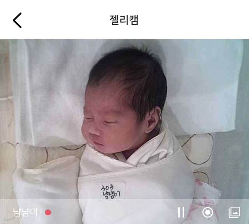 [산후관리] 세종 시온 산후조리원 이용후기