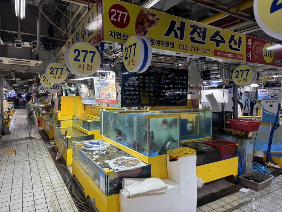 쌍둥이네 사진 2