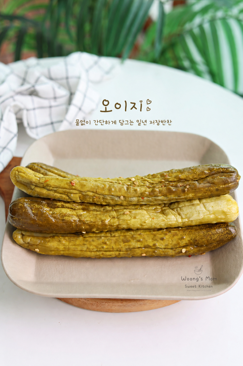 물없이 오이지 담그기 50개 비율 물없는 오이지 만들기
