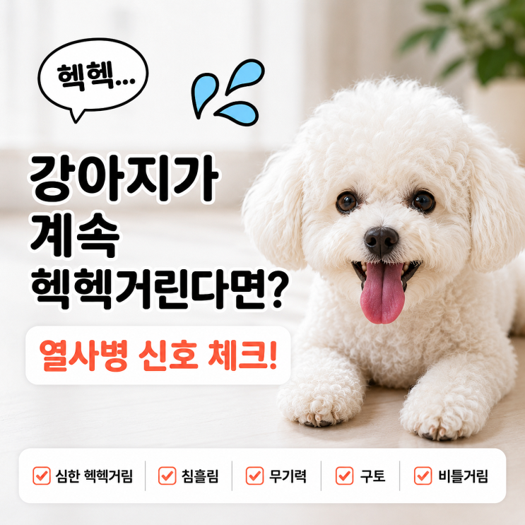  강아지가 헥헥거려요, 더위 때문일까요? 열사병 증상 확인하세요.