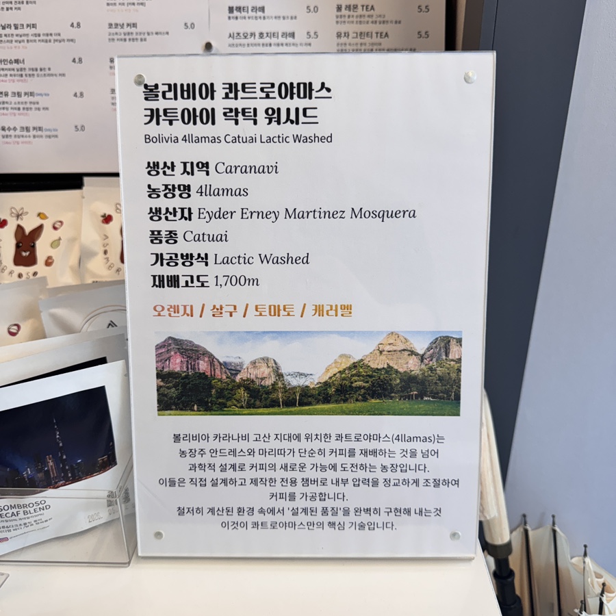 아솜브로소 사진 6