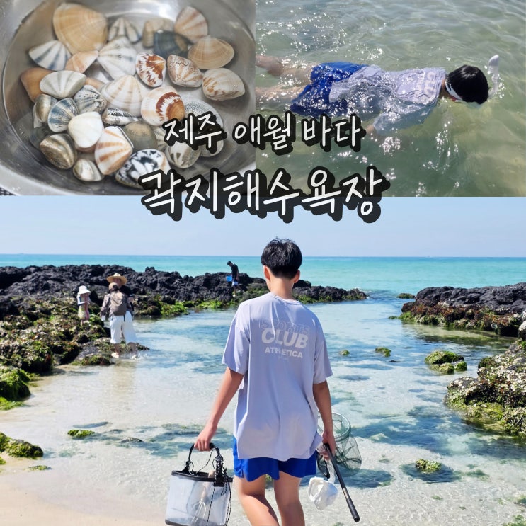  제주 곽지해수욕장 제주도 해수욕장 개장일 바다 스노클링 물놀이