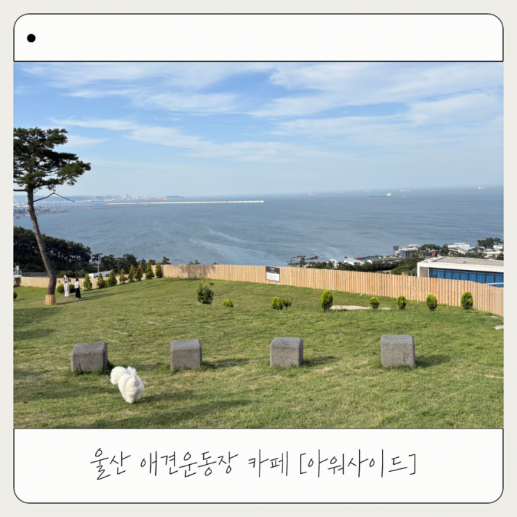 [아워사이드] 입장료 없는 애견운동장| 아기랑 울산 오션뷰 카페