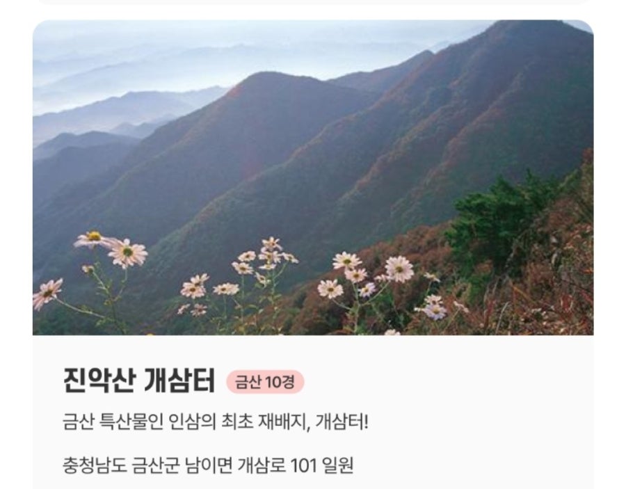 서대산 약용 자연 휴양림 사진 5