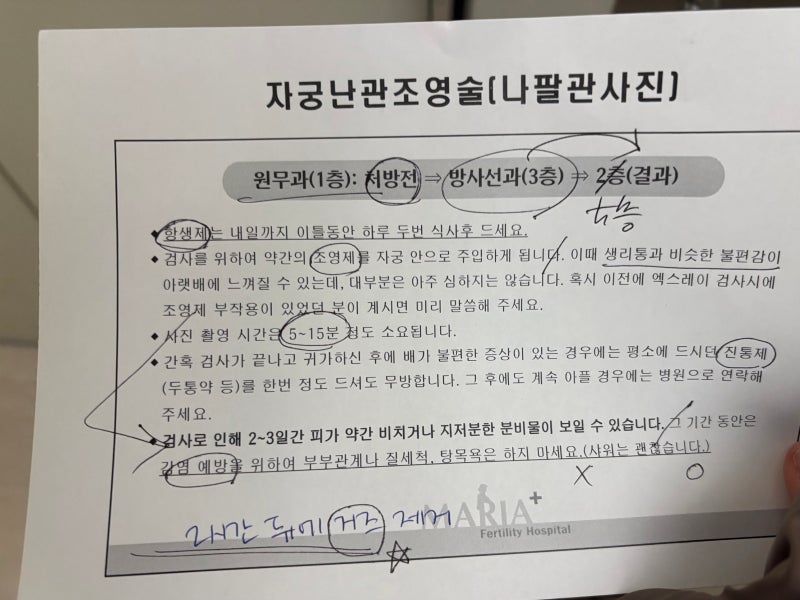 [산전검사부터 시험관 결심까지] _ 타임라인 (산전검사/정계정맥류/자임시도/풍진항체검사/....