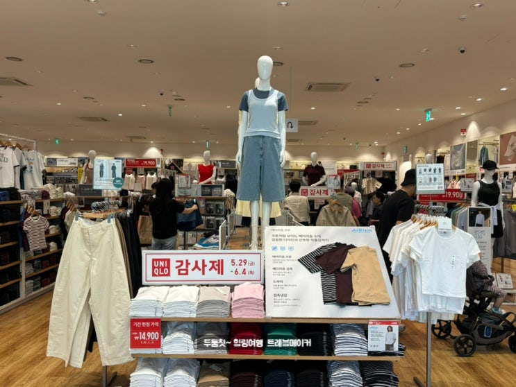  유니클로 에어리즘 반팔 후기 유니클로 감사제 무지티 찾다가 제대로 득템한 날