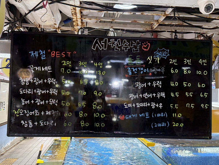 쌍둥이네 사진 5