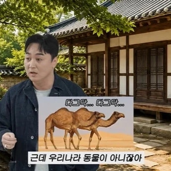 배우 이민정 유튜브 채널서 폭소 유발한 개그맨 황제성의 '낙타 태몽'과 반전 과거사