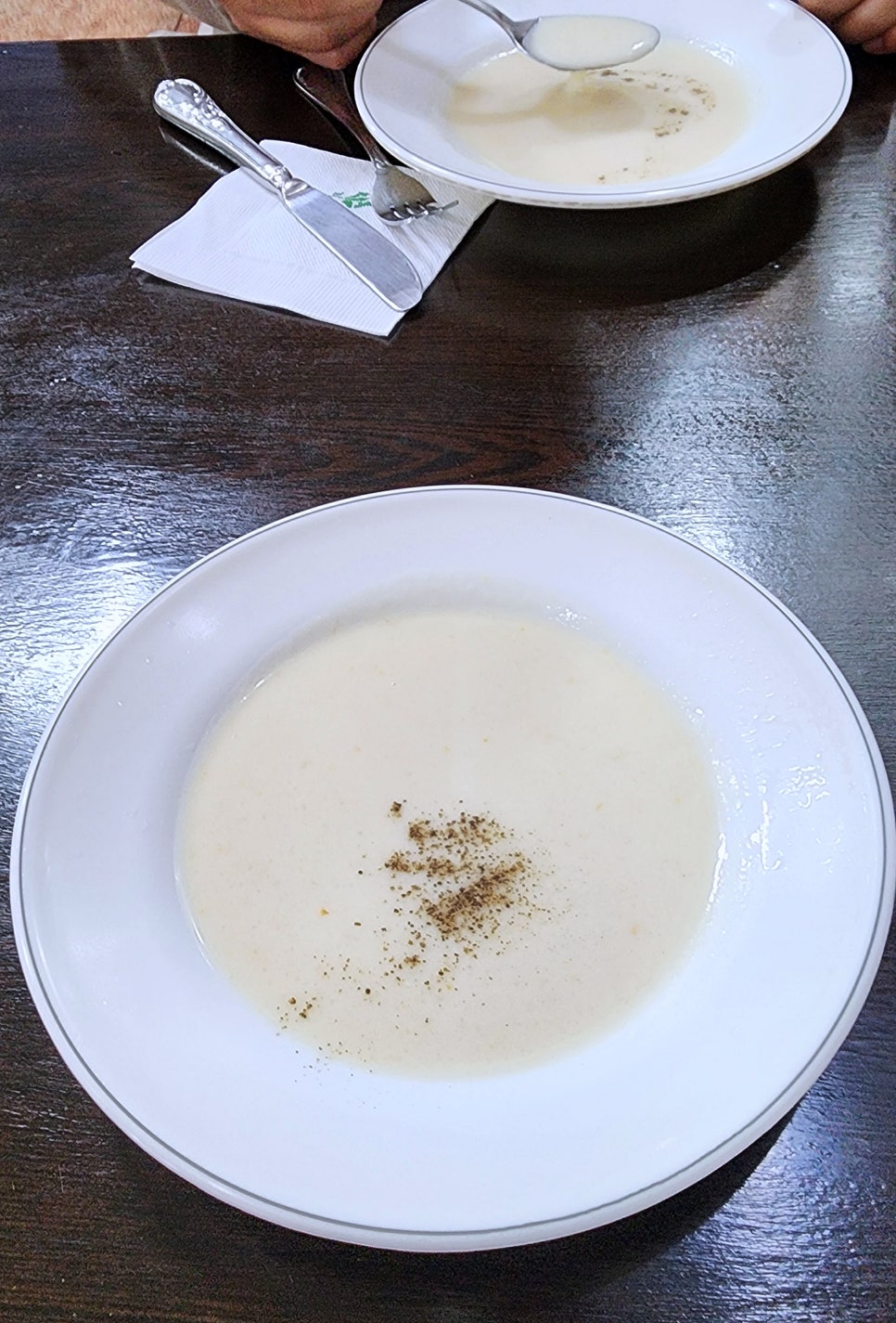 에버그린 사진 6