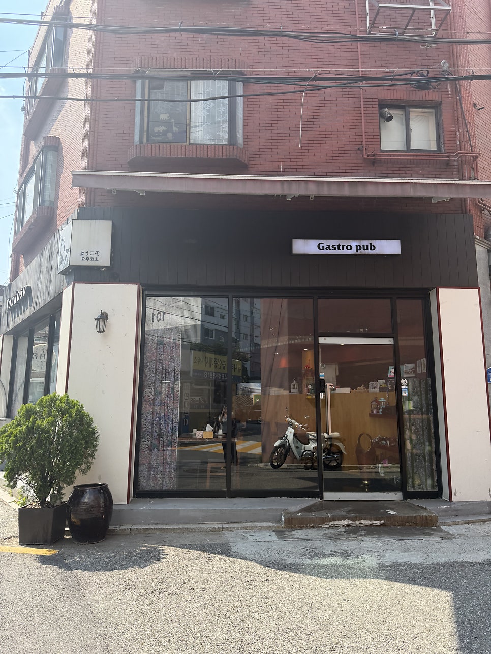 요우코소 사진 5