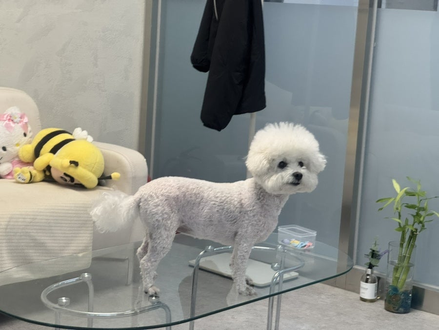 제이솔뷰티 사진 6