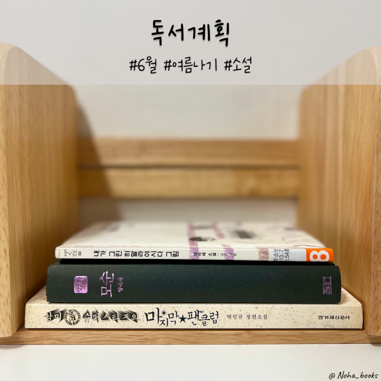  6월 독서계획 | 계획 성공률 100%를 노리는 소설 3권