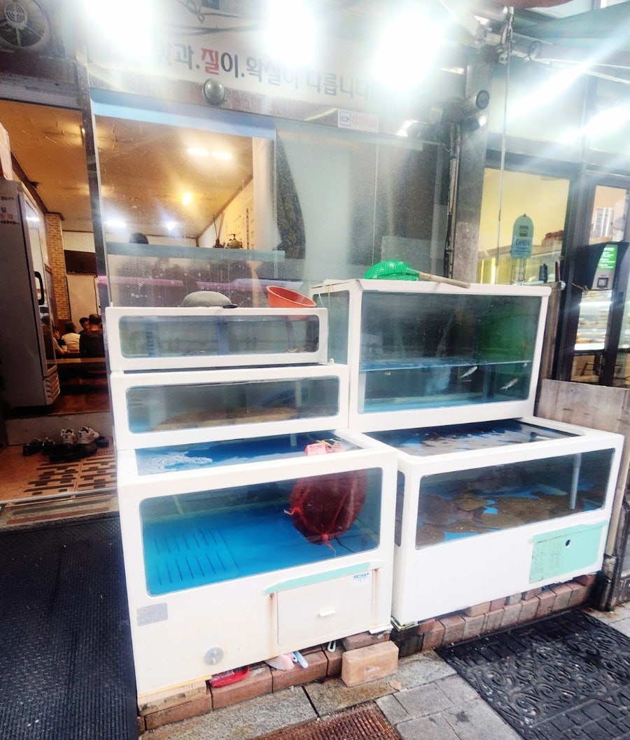 만선 사진 2