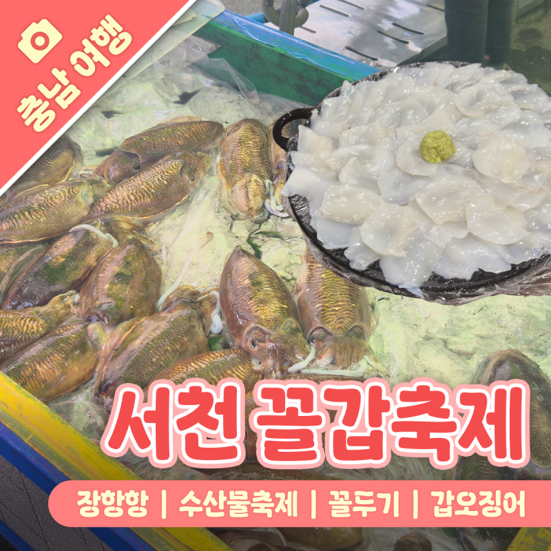 서천 장항항 꼴갑축제 갑오징어회 먹거리 파전 주차 찐방문후기