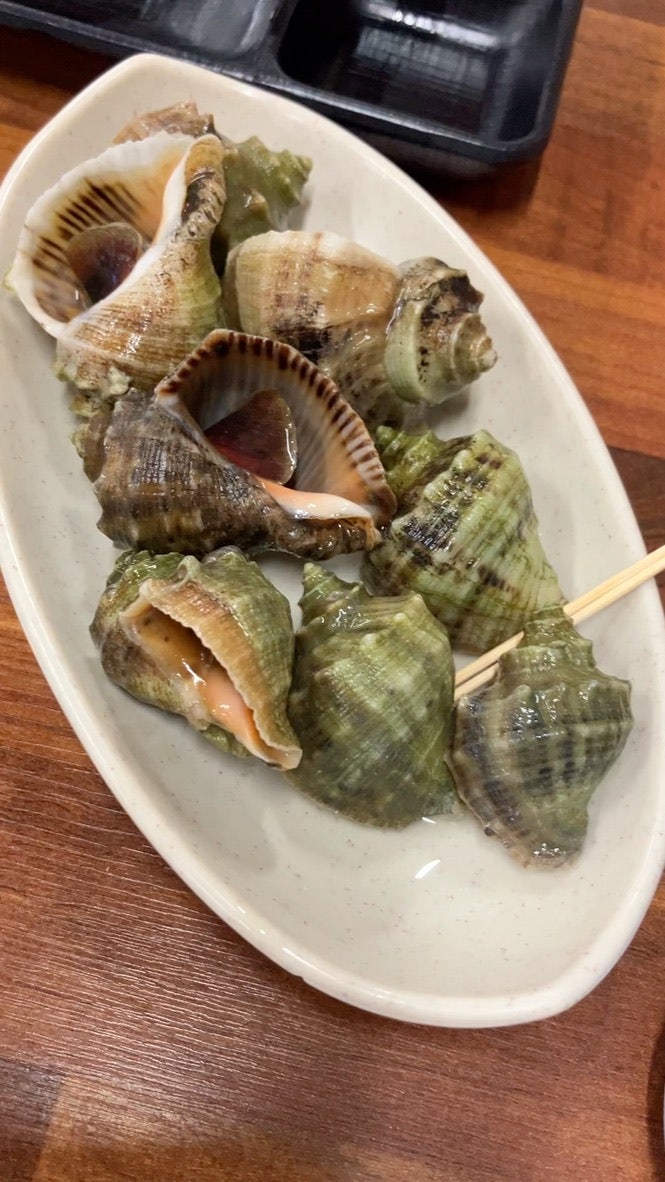 조개나라 사진 4