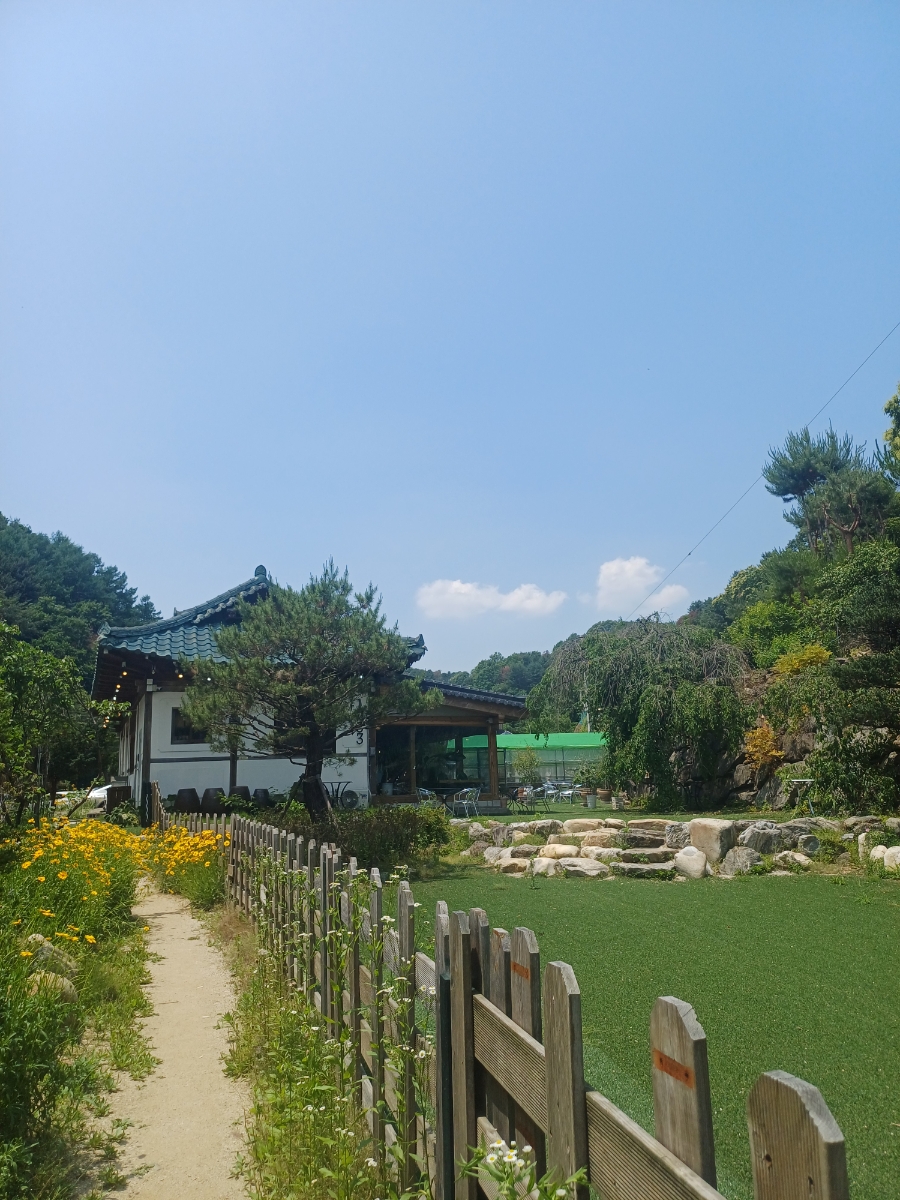Kape1253 photo 2