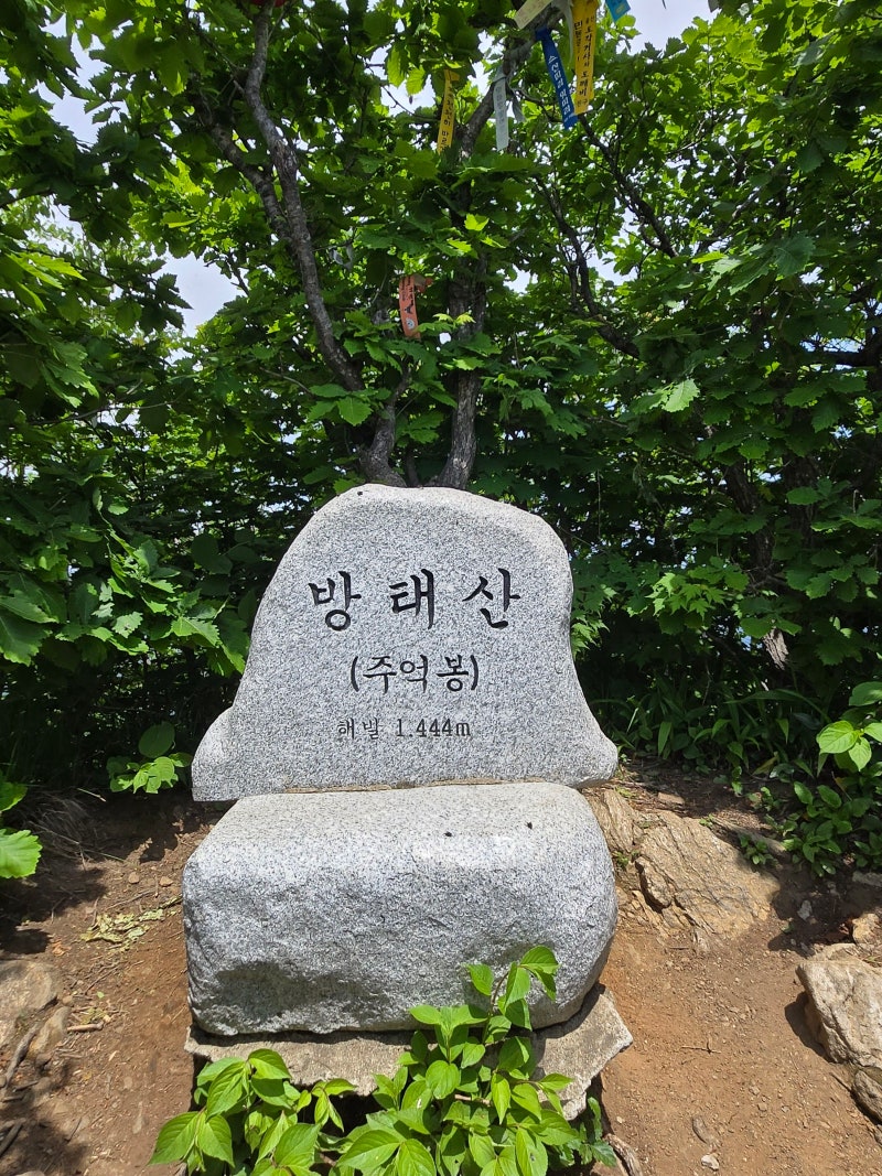 [강원100대명산] 방태산 최단코스 주차, 난이도, 맛집