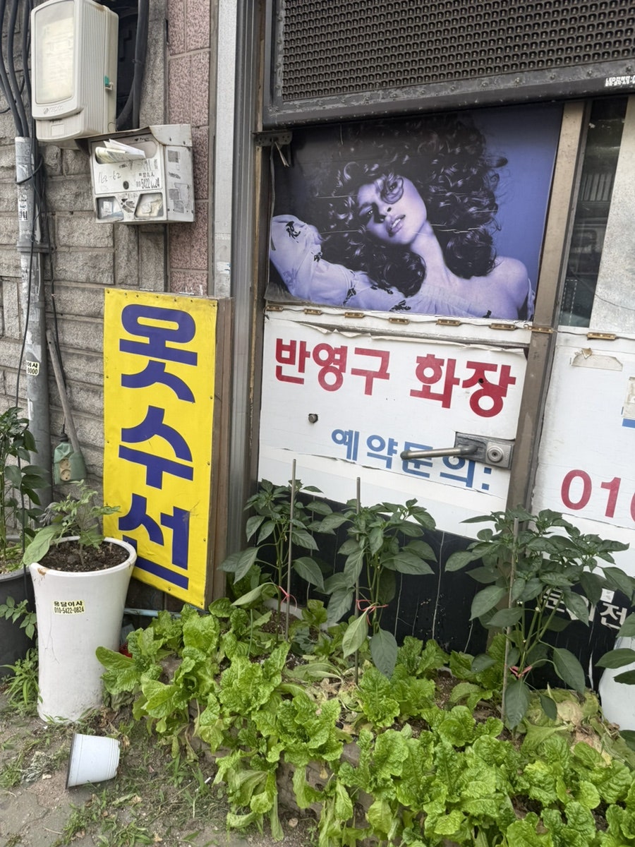 관교성진아구찜해물탕 사진 4