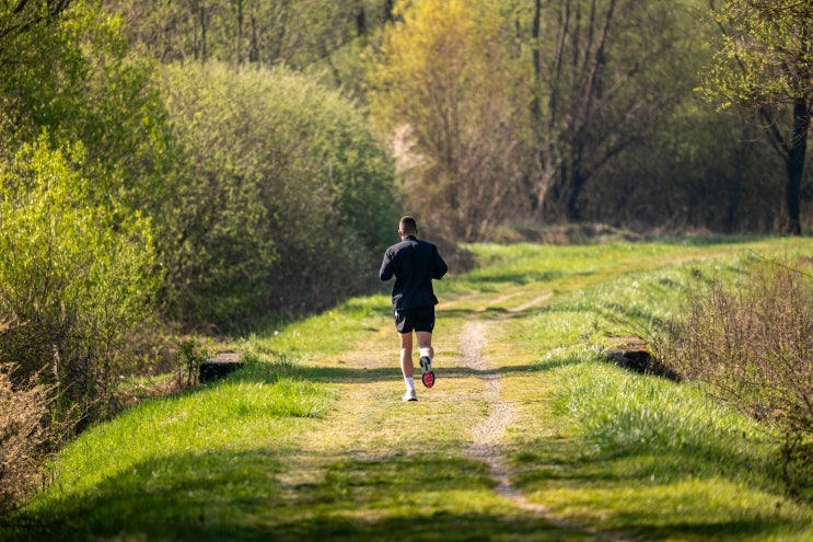  파틀렉(Fartlek) 훈련이란? 숫자 대신 몸의 감각을 되찾는 러닝