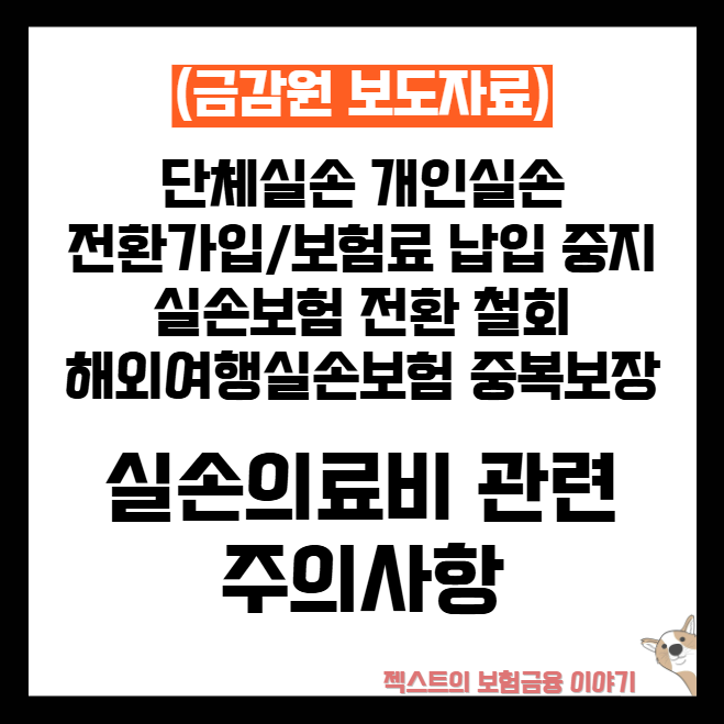 실손보험 가입 시 주의사항 - 보험료 이중납부·단체보험·전환철회·해외여행보험 중복보상 ....