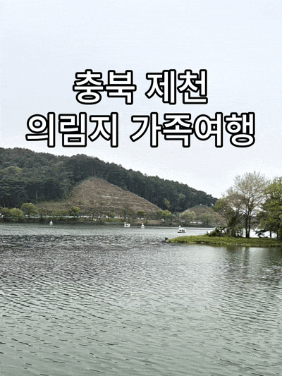  충북 제천 의림지 가족여행 후기 | 오리보트 가격, 주차장, 수리공원까지 둘러보기