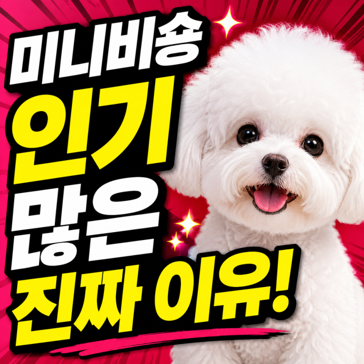 미니비숑이 인기 많은 진짜 이유