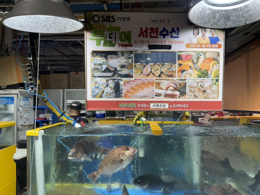 쌍둥이네 사진 3