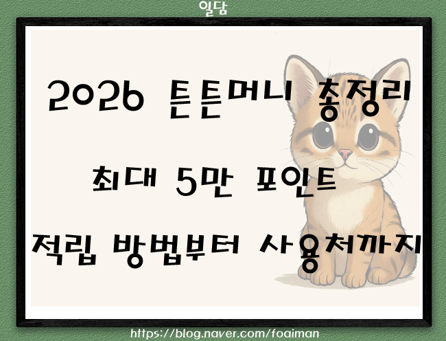  2026 튼튼머니 총정리｜최대 5만 포인트 적립 방법부터 사용처까지