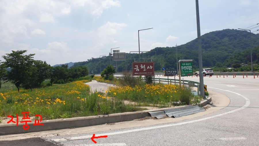 송림산 사진 2