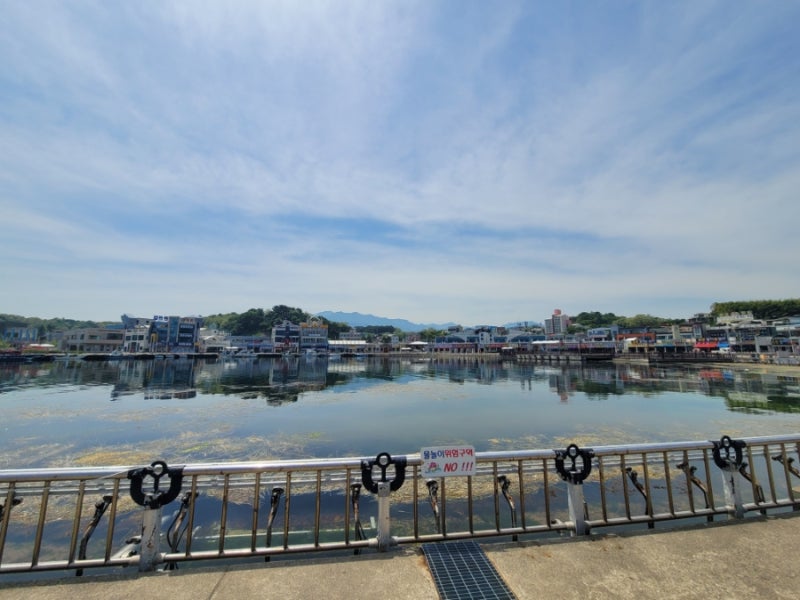속초 대포항 수산시장 주차 야장 감성 횟집 만석활어만복수산