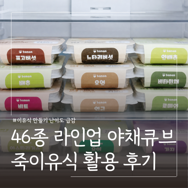  이유식 야채큐브 시판 추천 바맘 사용 후기 ㅣ죽이유식 소고기연근가지브로콜리죽 레시피