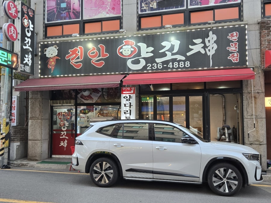 진안양꼬치 사진 1