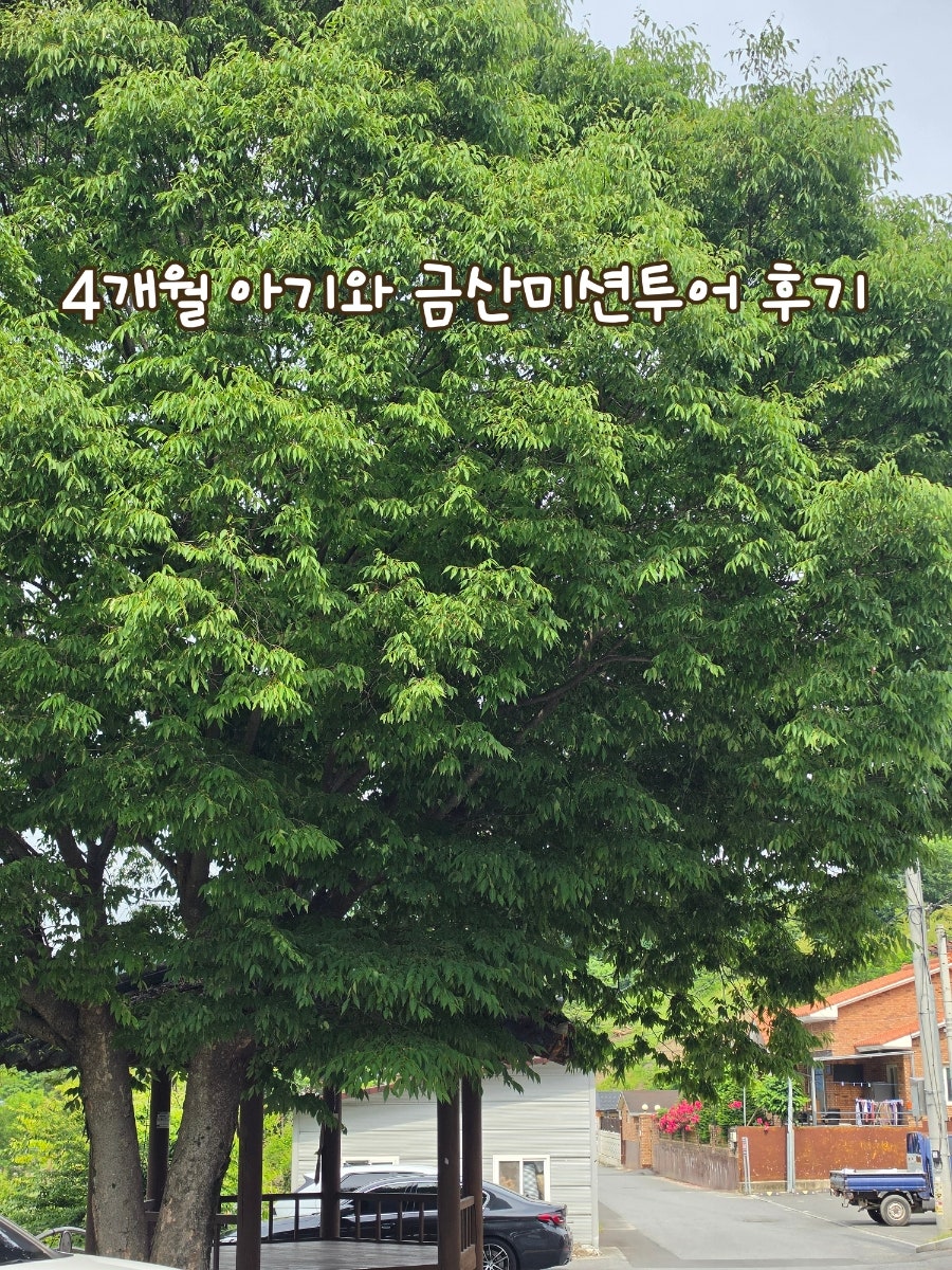 서대산 약용 자연 휴양림 사진 2