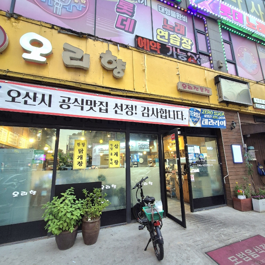 오리향 사진 2