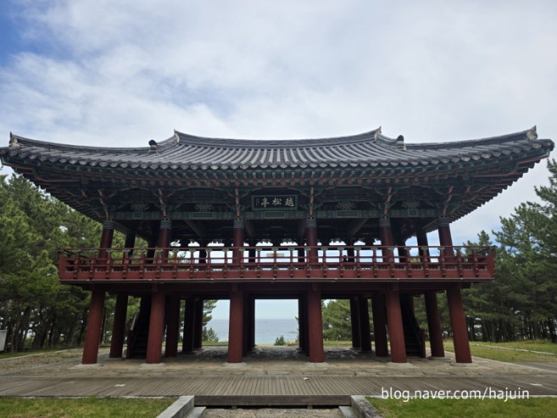 울진 여행 필수 힐링 명소, 푸른 동해 바다와 천년의 솔숲이 만나는 월송정, 관동팔경 '월송....