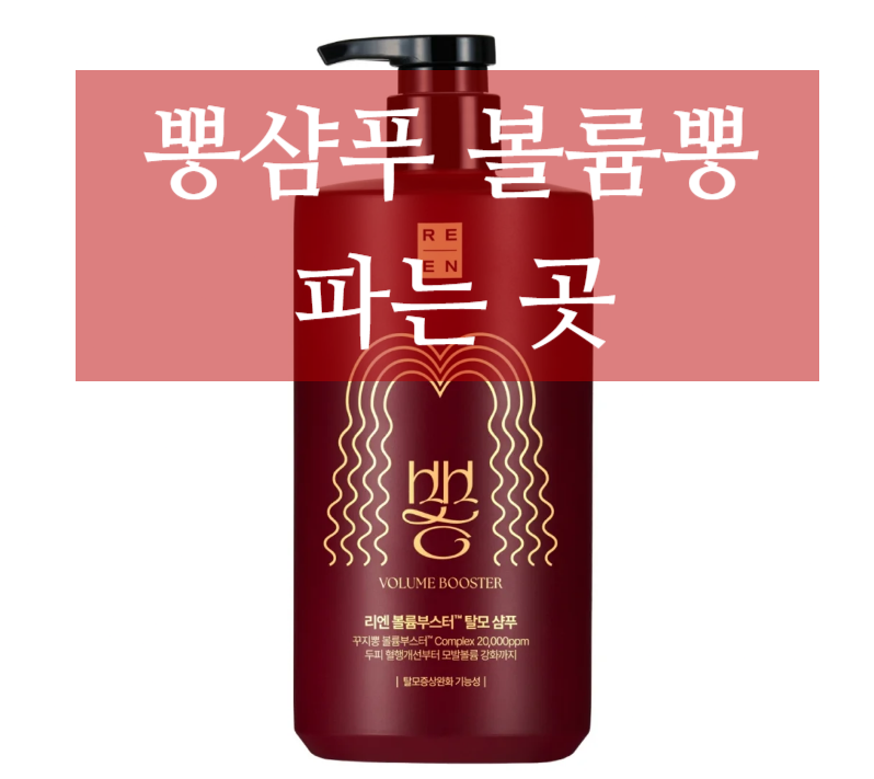 뽕샴푸 파는곳, 꾸지뽕샴푸 볼륨력 난리남 LG생활건강 리엔