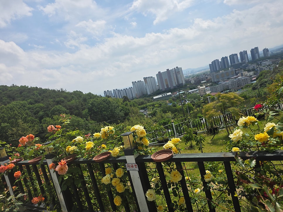 카페이디엘 사진 5