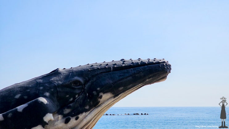  조용한 해변 삼척 원평해수욕장