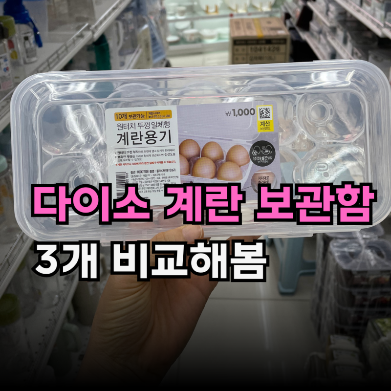 "계란 보관함도 종류가 이렇게 많다고?" 다이소 계란 보관함 3종 비교