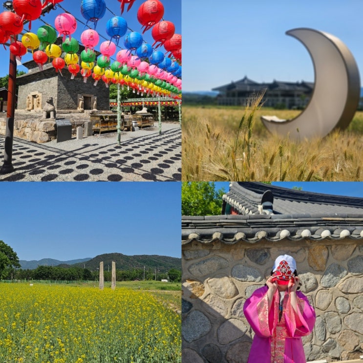  경주 분황사 청보리밭 유채꽃밭 6월 가볼만한 절 추천