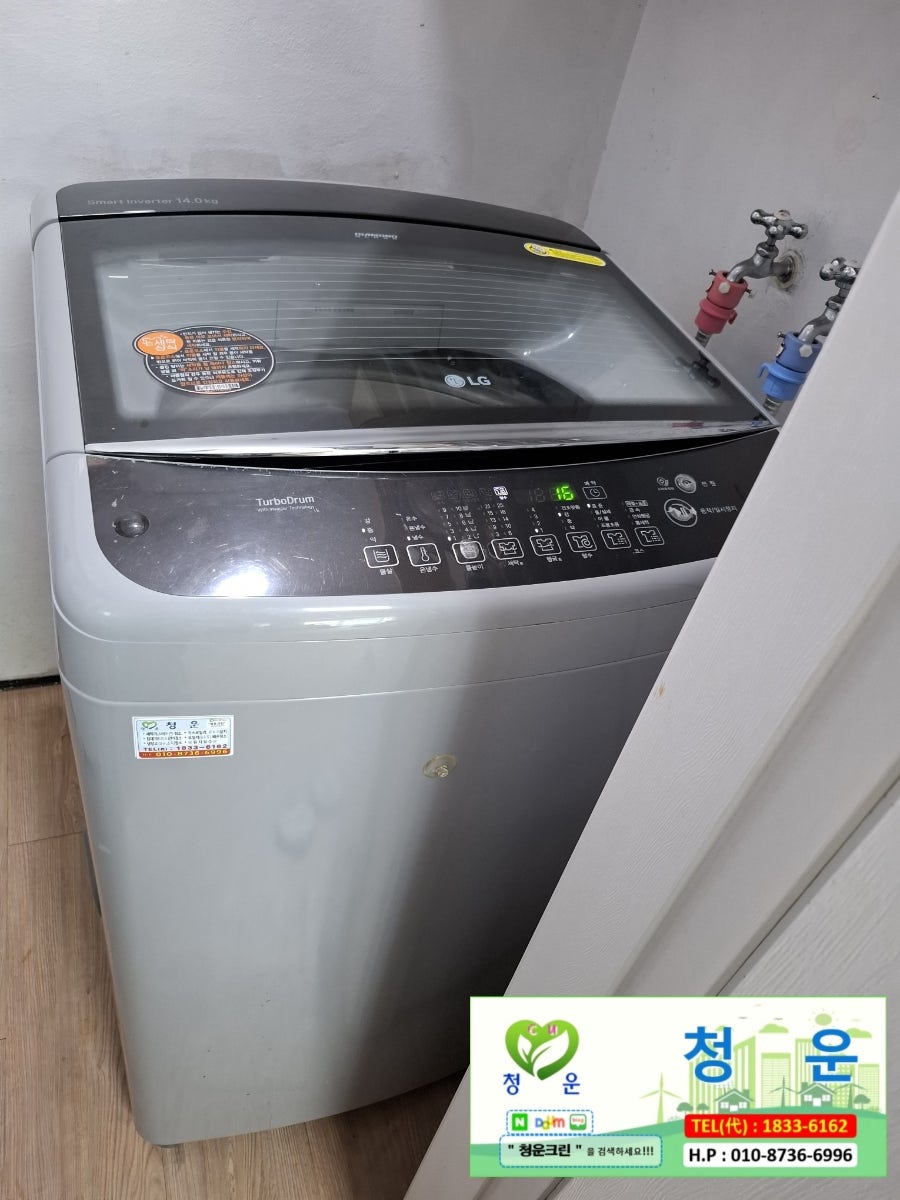 목련 사진 1