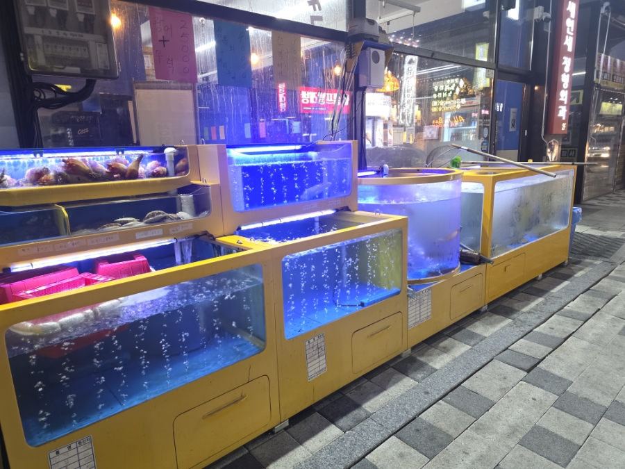 월드오징어바다 파장점 사진 2