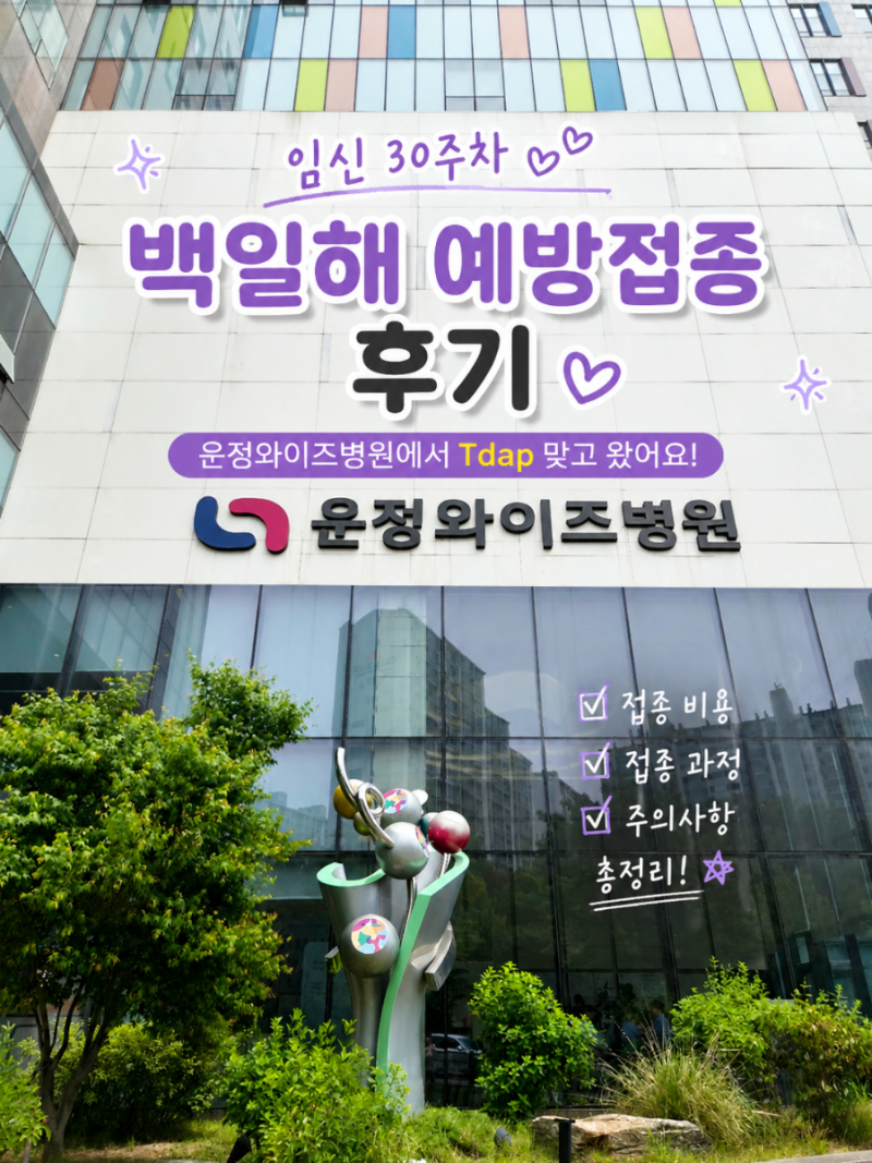 임신 30주차 백일해 주사 후기｜운정 와이즈 병원 Tdap 가격 + 남편 접종비용