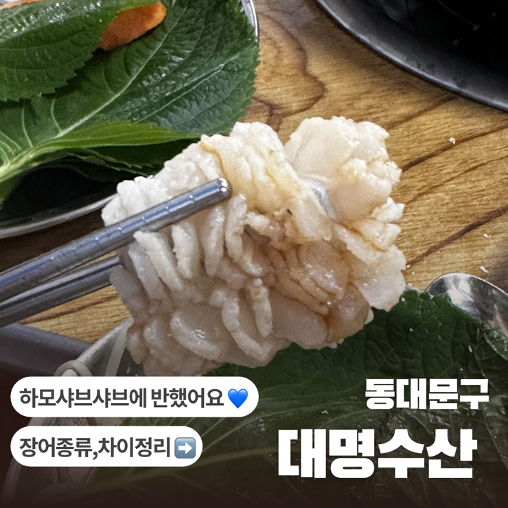[서울/동대문] 대명수산 / 장안동 맛집 하모 샤브샤브 장어종류 여름제철해산물