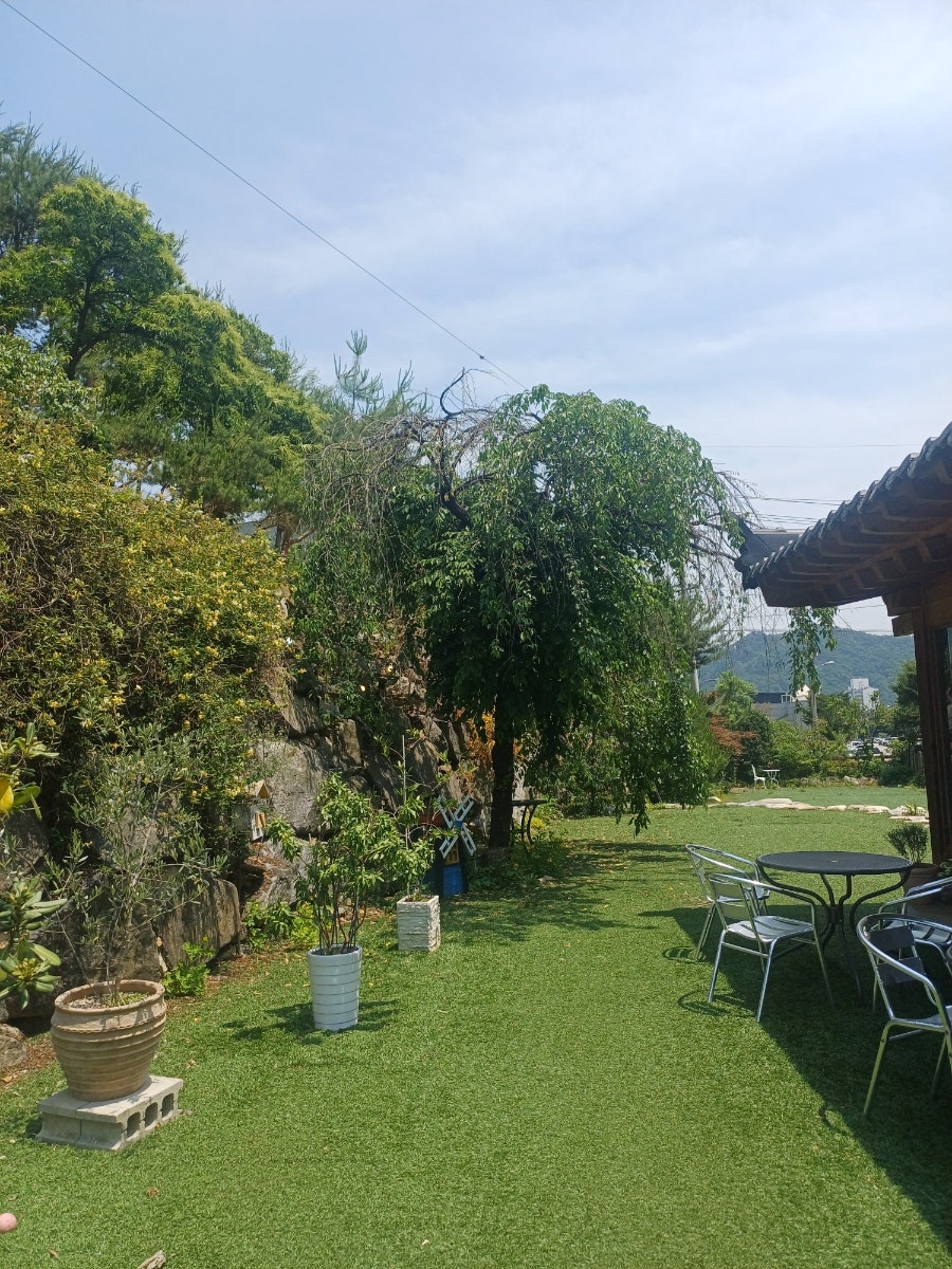 Kape1253 photo 3