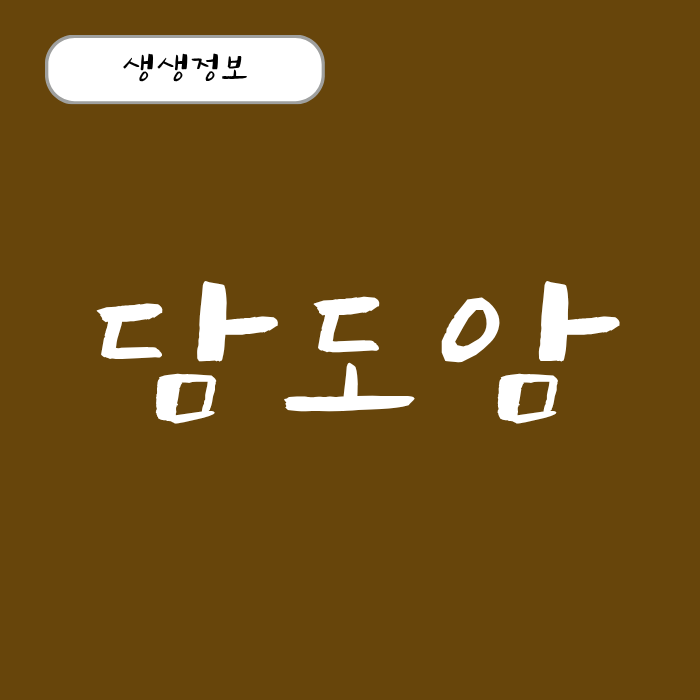 담도암 원인과 진행 단계별 초기 증상 생존율