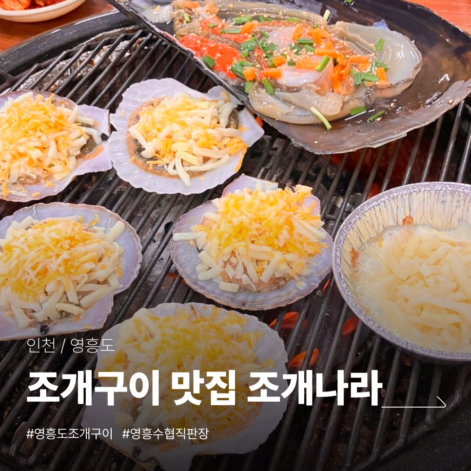조개나라 사진 1