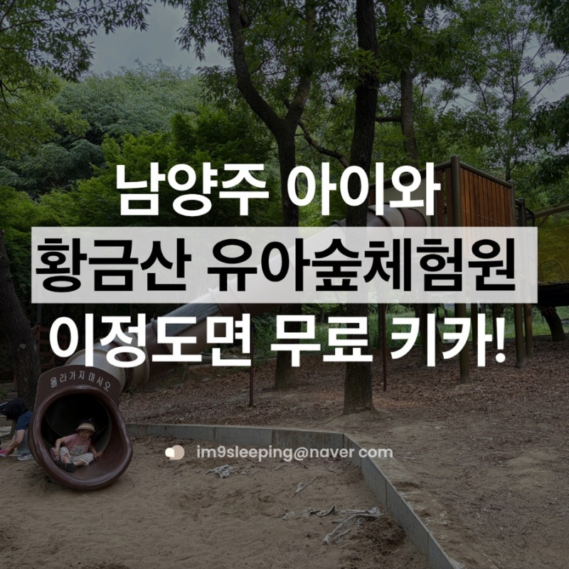 남양주 다산 무료 숲놀이터 추천 황금산 유아숲체험원 올챙이 잡고 모래놀이까지