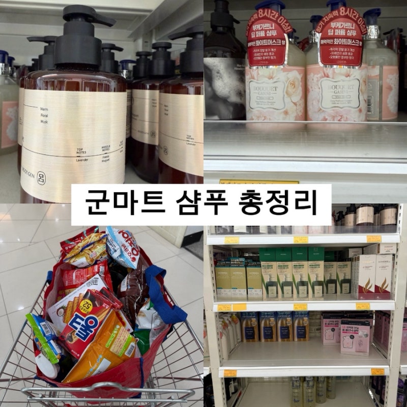 2026 군마트 6월 피엑스 PX 샴푸 12가지 종류 가격 비교