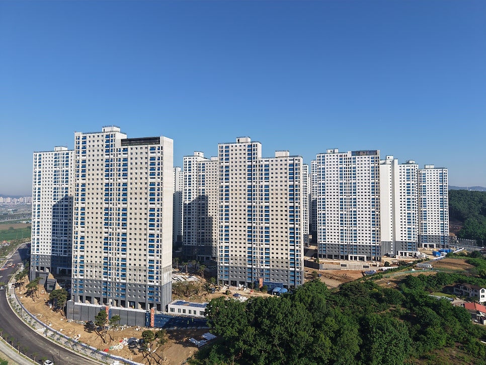 싱싱회 사진 1